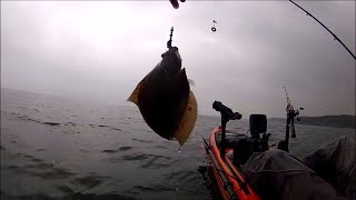 Kayak Fishing - Right Time Right PLAICE - Catch and Cook