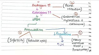 Polycystic Ovarian Syndrome Pathology | PCOS