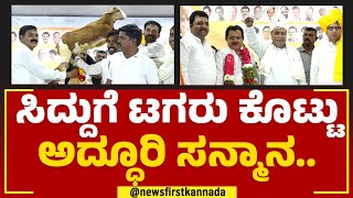 Siddaramaiahಗೆ ಟಗರು ಕೊಟ್ಟು ಅದ್ಧೂರಿ ಸನ್ಮಾನ.. | Kalaburagi | @newsfirstkannada