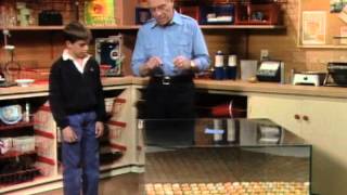 What Are Chain Reactions? (Mr. Wizard)