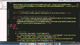 The Proper Place to Include Script Tags