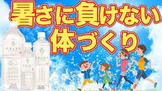 夏バテと熱中症の原因はミネラル不足!?暑さに負けない夏の健康法とは？