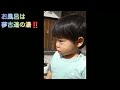 ぼくちゃん三重県尾鷲市のイタダキ市 3回目 にお泊まりで行ったよ！ぼくちゃん後ろ姿初テレビデビュー！ *^^*