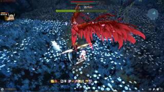 楓小敘 劍盾娘菲歐娜 SOLO 眼淚花園 蕾吉娜 Vindictus - Fiona solo