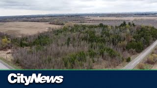 'Crown Jewel' of the Greenbelt to be developed