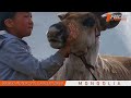 mongolia adventure motorcycle tours ride expeditions