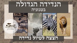 הנדידה הגדולה בטנזניה | טנזניה טריפ