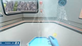 Introduction to the Nervous System: Subdivisions of the nervous system | Virtual Lab