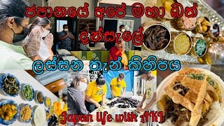 ජපානයේ අපේ මහා බත් දන්සැලේ ලස්සනම තැන් කිහිපය. සනෝ පාරමිතා භාවනා මද්‍යස්තානය. Japan dansal.