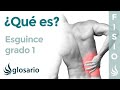 ESGUINCE GRADO 1 | Qué es, qué afecta, síntomas, causas y tratamiento fisioterapéutico