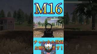 M16でヤバいことした W W【荒野行動】