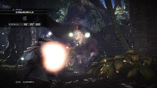 【MHW:β】アンジャナフ討伐ライトボウガン6分25秒383