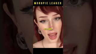 Morgpie S Wildest Internet Drama Explained Shorts