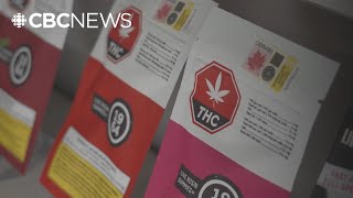 Toronto bylaw officers will stop cracking down on illegal cannabis shops