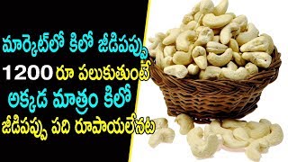 అక్కడ కిలో జీడిపప్పు పది రూపాయలే | A City In India Where Cashew Nuts Are Sold Cheaply | CM