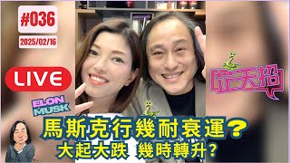 [芷天招] #036 2025/02/16｜Elon Musk 馬斯克 行衰運！！ 大起大跌 幾時轉升？