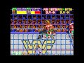 mame wwf wrestlefest us tecmo hulk hogan u0026 ultimate warrior tag team gameplay part 1