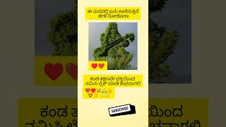 ಈ ಮರದಲ್ಲಿ ಏನು ಕಾಣಿಸುತ್ತಿದೆ ಹೇಳಿ ನೋಡೋಣ!