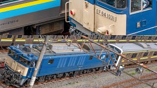 【空ノッチ\u0026汽笛】EF64-1031が幕張車両センターで209系と解結作業を行う