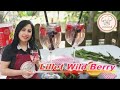 Lillet Wild Berry Cocktail 😍mit Früchten im Garten genießen😋/ Erfrischungsgetränk für den Sommer