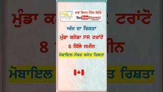 8 ਕਿੱਲੇ ਜ਼ਮੀਨ, ਮੁੰਡਾ ਕਨੇਡਾ ਰਿਸ਼ਤਾ ਨੰਬਰ ਸਮੇਤ #bathinda #moga #ludhiana #chandigarh #mohali #jalandhar