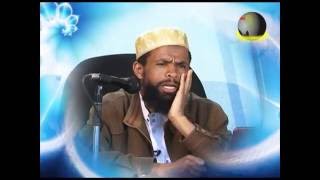 Ustaz Mohamed Ferej ወይ ዱንያ } wey Dunya