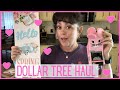 Dollar Tree Haul | More New Spring Finds!