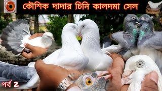 কালদম কবুতর সেল | #Kaldoma,Bele sobhuj, #Maddras Pigeon Sale High Flying Pigeon Sale#Kolkatapigeon