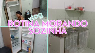 ROTINA MORANDO SOZINHA- faxina+tour na cozinha, comprei um fogão, lanchinho da noite, clt!