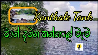 Beautiful Kanthale Tank - කන්තලේ වැව ( වාන් දොරටු ඇරලා)