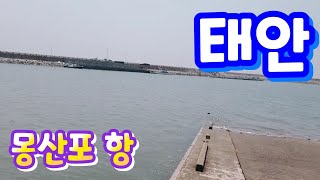 태안 몽산포항 리뷰! 슬로프 수산시장 시세 정보!