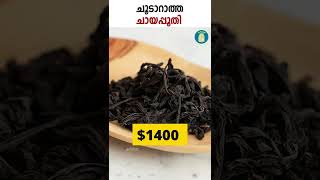 സ്വർണത്തേക്കാൾ വിലയുള്ള ചായ | The Most Expensive Tea In The World | Uppilittathu | #shorts