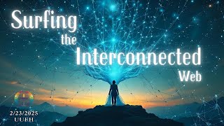 February 23, 2025- Surfing the Interconnected Web