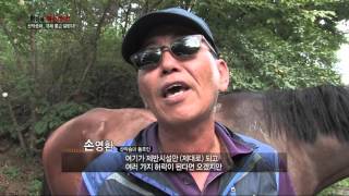 산악승마, 규제의 빗장이 풀린다! (산악승마 산지 규제 완화/산림청) -혁신을 혁신하라! 28회-