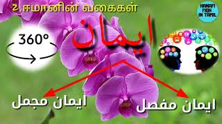 #3 ஈமான் என்றால் என்ன?எளிமையான விளக்கம்|What Is Eemaan?HANAFI FIQH IN TAMIL