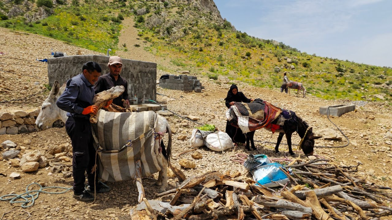 Iran Nomadic Life Gathering Firewood For The Nomadic Home Nomadic