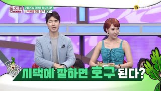 시댁에 잘하면 호구 된다?