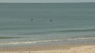 How did Galveston's water turn blue? Expert explains | Forecasting With Friends