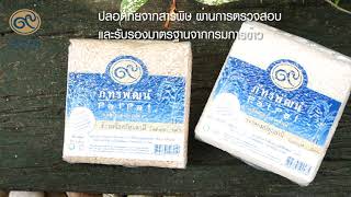 ข้าวหอมปทุมธานี๑ สินค้าการเกษตรจากภัทรพัฒน์