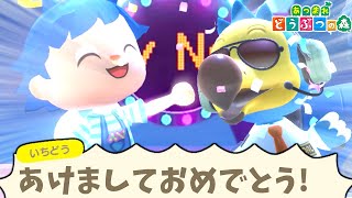 離島で年越ししたら新年迎えるの不可能説!!【あつ森】【あつまれどうぶつの森検証】