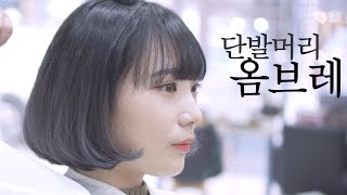 ✨단발 옴브레 염색❤애쉬옴브레로 크리스마스 맞이해봐요🎄