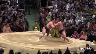 【初金星】日馬富士 vs 蒼国来 2017春場所3日目 SUMO Harumafuji vs Sokokurai 2017 Osaka