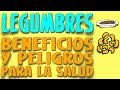 LEGUMBRES, Beneficios y Peligros para la Salud - Enciclopedia de los Alimentos #04