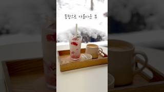 카페투어 라떼가 맛있는 이 곳은 ? #쇼츠 #café #갤러리 #라떼