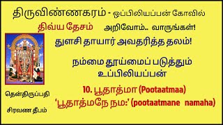 vsn 10 ஒப்பிலியப்பன் கோவில் பூதாத்மா poothathma oppiliappan templeThiruvinnagaram தென்திருப்பதி