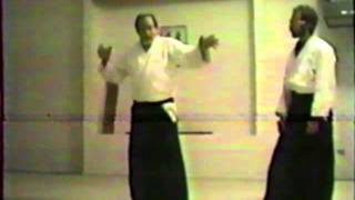 Sensei Terry Dobson on Takemusu Aiki