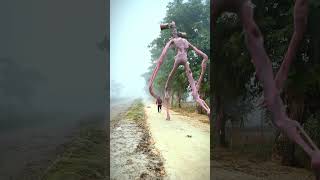A Boy Chased By Stranger Siren Head In Real Life!