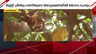 നിപ ജാഗ്രത; കേന്ദ്ര ഗവൺമെന്റിന്റെ മൃഗസംരക്ഷണ വിദഗ്ദ്ധ സംഘം ഇന്ന് കോഴിക്കോടെത്തും | Nipah2023