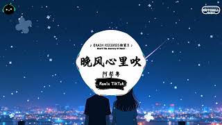 晚风心里吹 (抖音DJ版) - 阿梨粤「我倾心 只等你回来时贴近，俗世间 江山雨落无尽放任。」♪ || 抖音热歌版BGM | Douyin | TikTok ♪