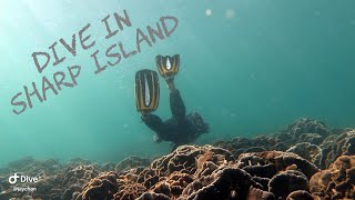 ｛香港潛點｝橋咀島浮潛 ｜ freediving | snorkelling | Sharp Island |  橋咀 ｜香港水底 ｜山野旅人｜潛水| vlog | 浮潛 | 自由潛水